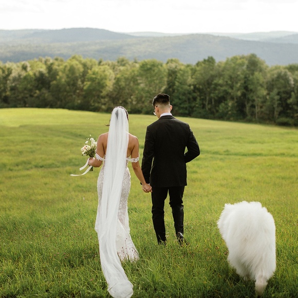 BHLDN Wtoo by Watters Bettina Strapless Corset All-Over Lace Wedding Gown - Picture 6 of 9